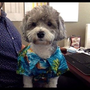 Meet your Posher, Caleb